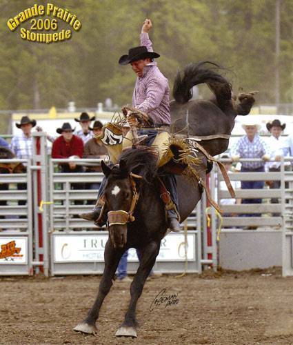 Saddle Bronc Horses • Outlaw Buckers Rodeo Corp.